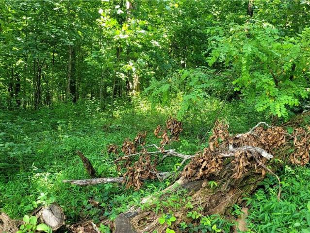 Land for sale in Pickens, Georgia