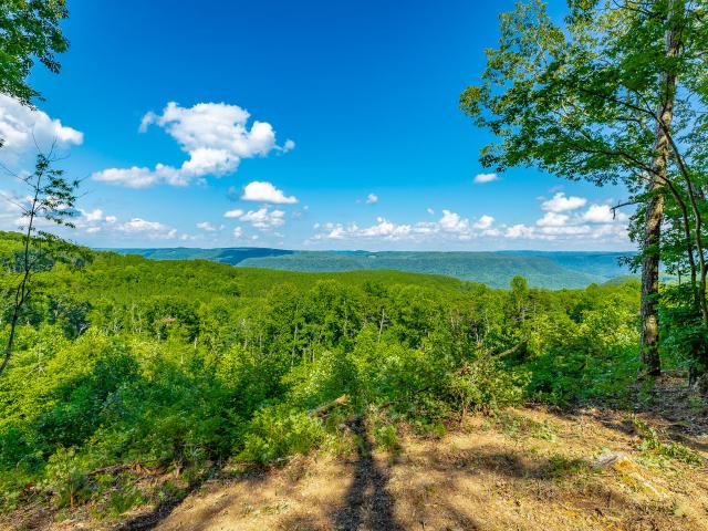 Land for sale in Tennessee