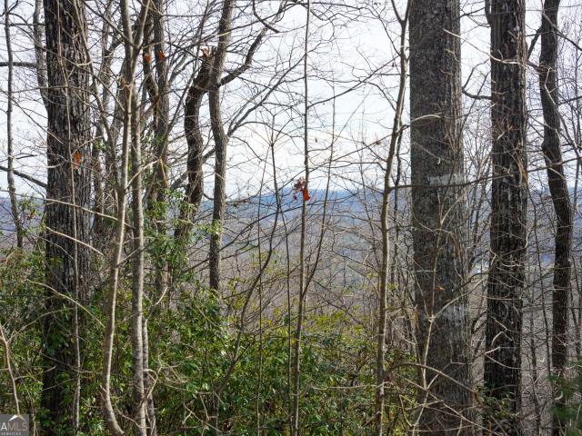 Land for sale in Tiger, Georgia