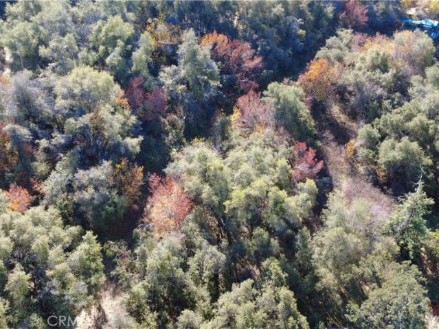 Land for sale in Squaw Valley, California