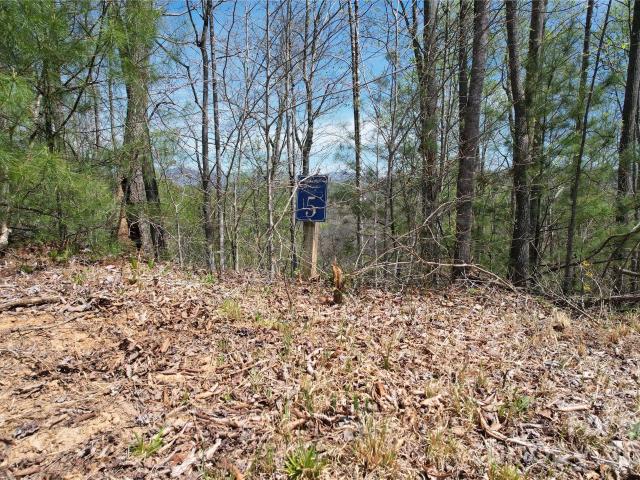 Land for sale in Yancey, North Carolina