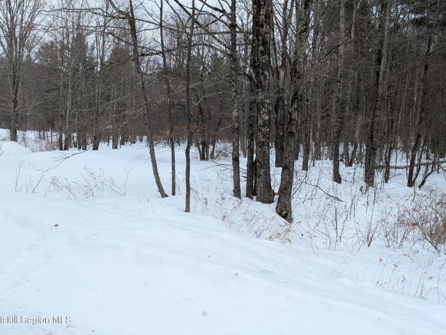 Land for sale in Ashland, New York
