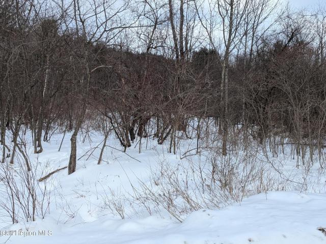 Land for sale in Ashland, New York