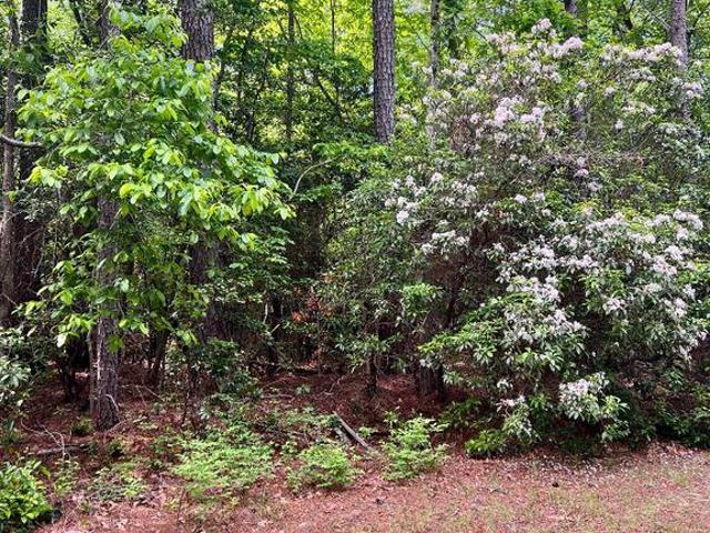 Land for sale in Virginia