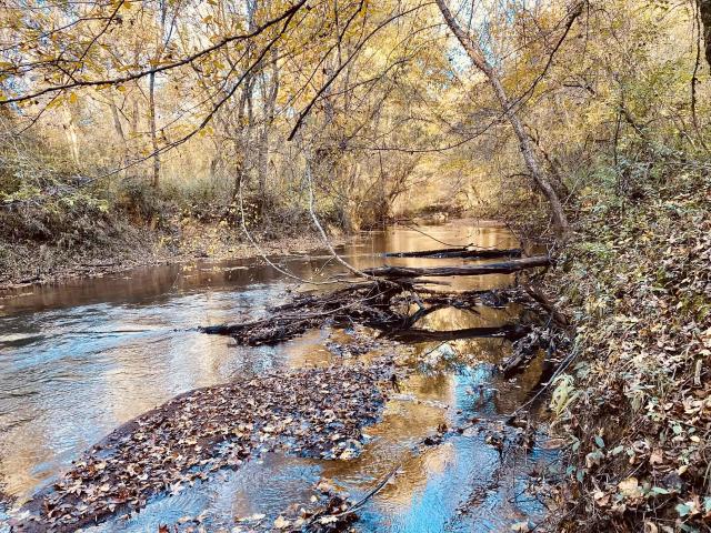 Land for sale in Edgefield, South Carolina