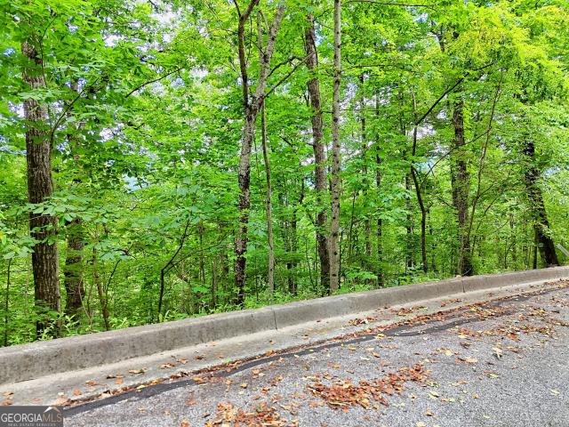 Land for sale in Clayton, Georgia