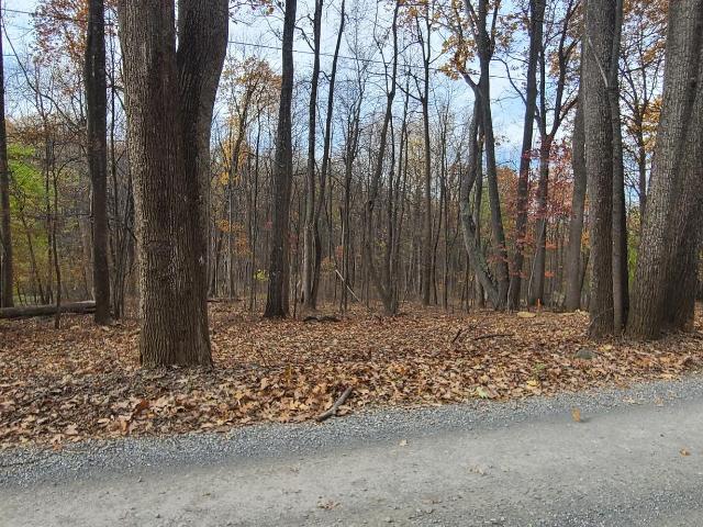 Land for sale in Virginia