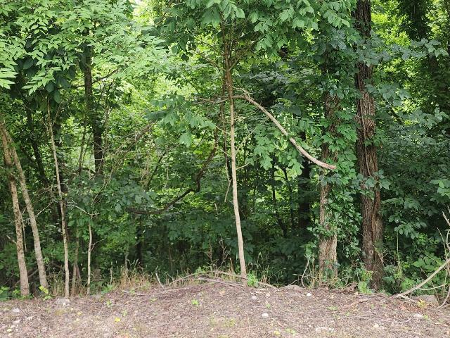 Land for sale in Tennessee