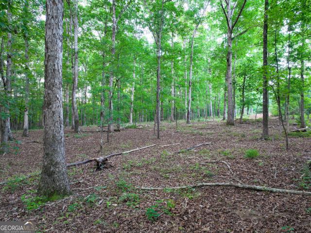 Land for sale in Flovilla, Butts County