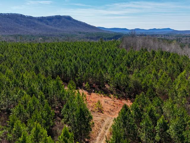 Land for sale in Summerville, Chattooga County