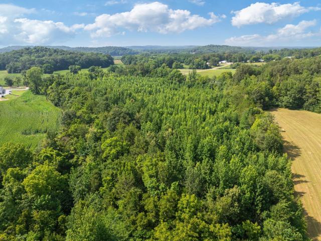 Land for sale in Tennessee