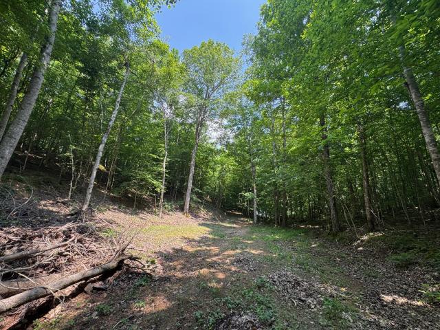 Commercial Land for sale in Centerville