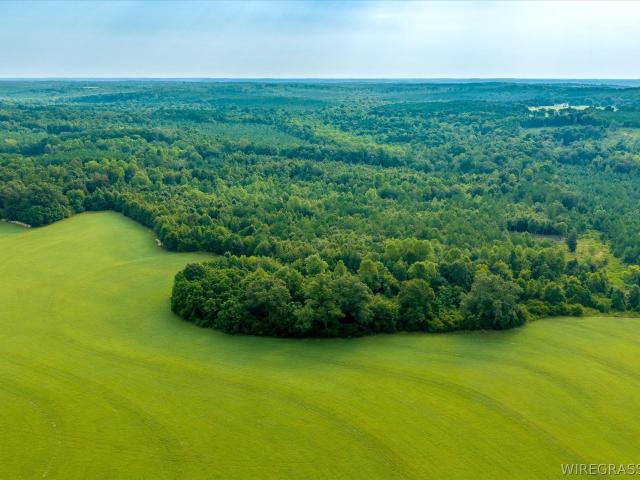 Land for sale in Dale, Alabama