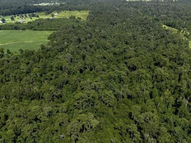 Land for sale in Vinton, Louisiana