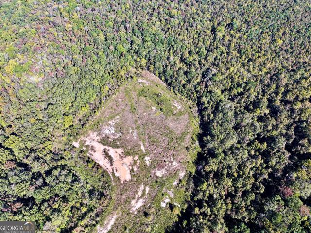 Land for sale in Wilkinson, Georgia