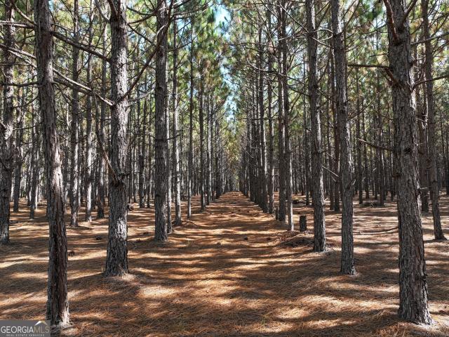 Land for sale in Pineview, Georgia
