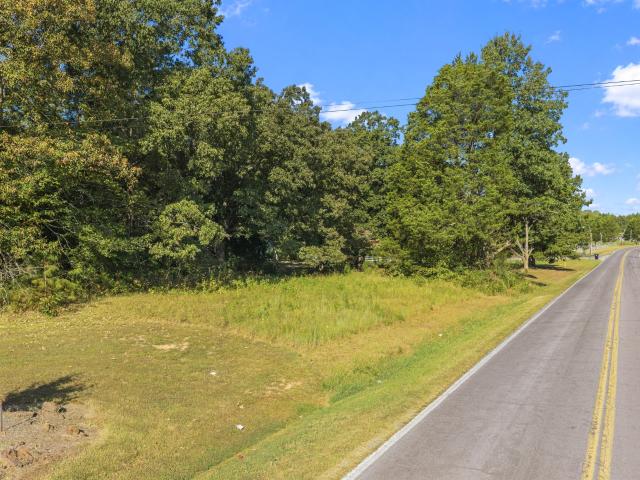 Land for sale in Scotts Hill, West Tennessee