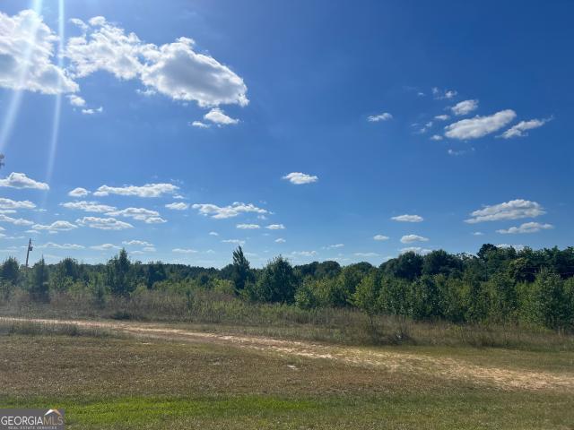 Land for sale in Rentz, Georgia