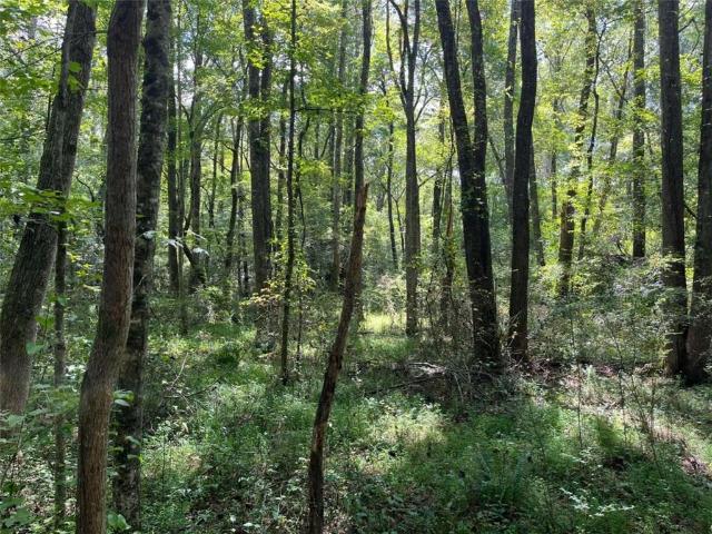 Land for sale in Haralson, Georgia