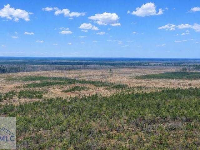 Land for sale in Glennville, Georgia