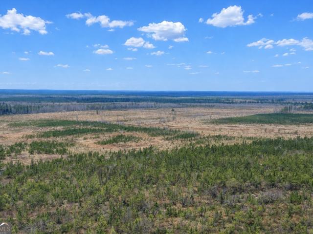 Land for sale in Glennville, Georgia