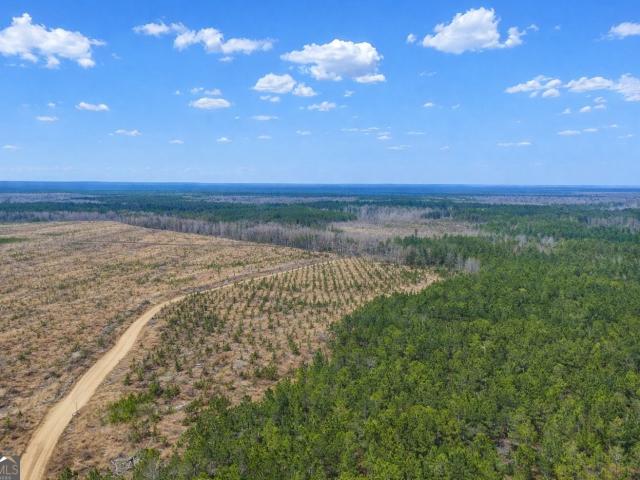 Ranch for sale in Glennville, Georgia