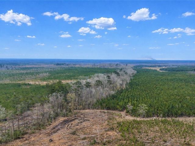 Ranch for sale in Waynesboro, Georgia