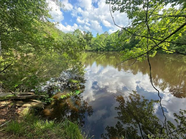 Land for sale in Elba, Alabama
