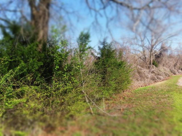 Farm for sale in Tennessee