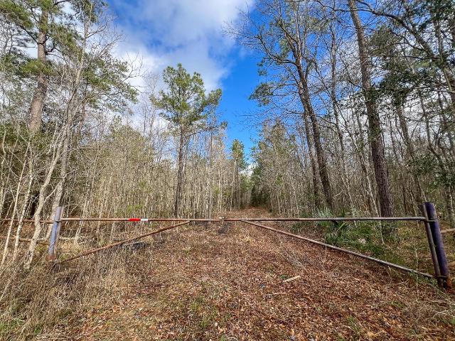 Land for sale in Vidor, Texas