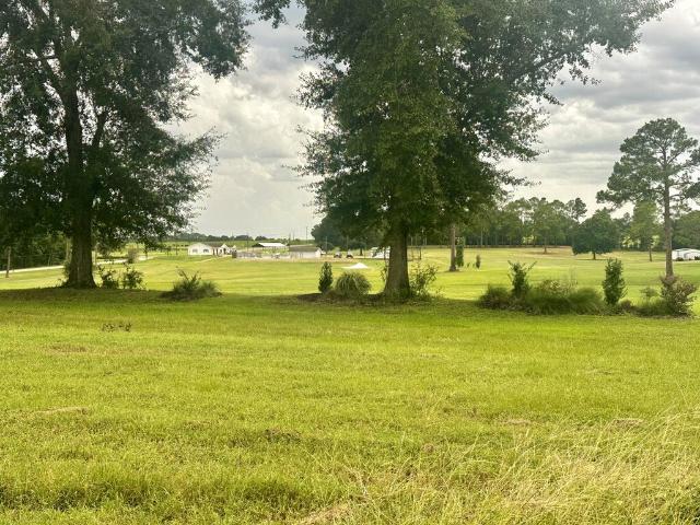 Land for sale in Headland, Alabama
