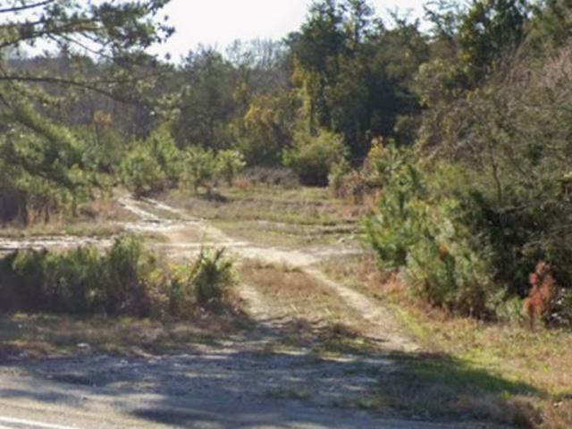 Land for sale in Georgia