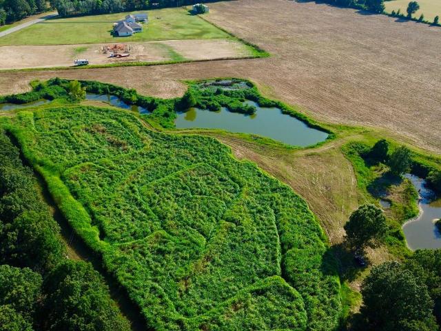 Farm for sale in Ark