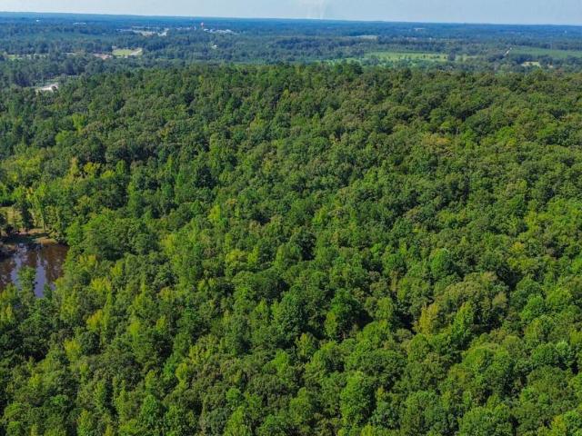 Land for sale in Clanton, Alabama