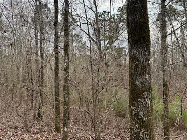 Land for sale in Clanton, Alabama