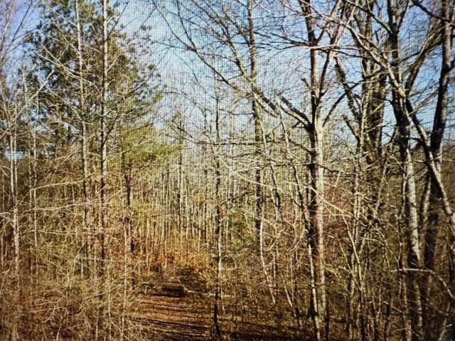 Land for sale in Clanton, Alabama