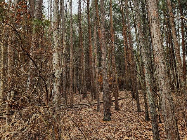 Land for sale in Tennessee