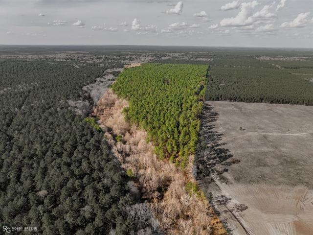 Land for sale in Benton, Louisiana