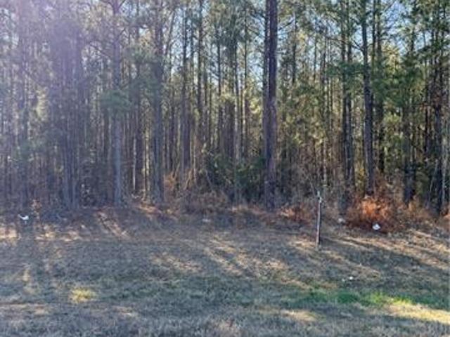 Land for sale in Ball, Louisiana