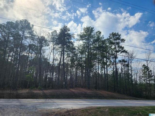 Commercial for sale in Calera, Alabama