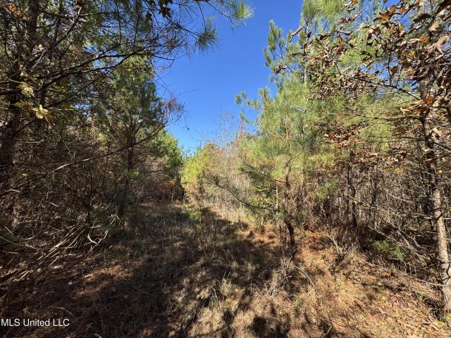 Land for sale in Mississippi
