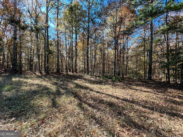 Land for sale in Monticello, Georgia