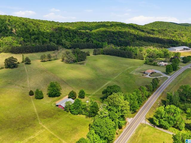 Land for sale in Springville, Alabama
