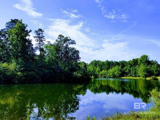 Land for sale in Millry, Washington County