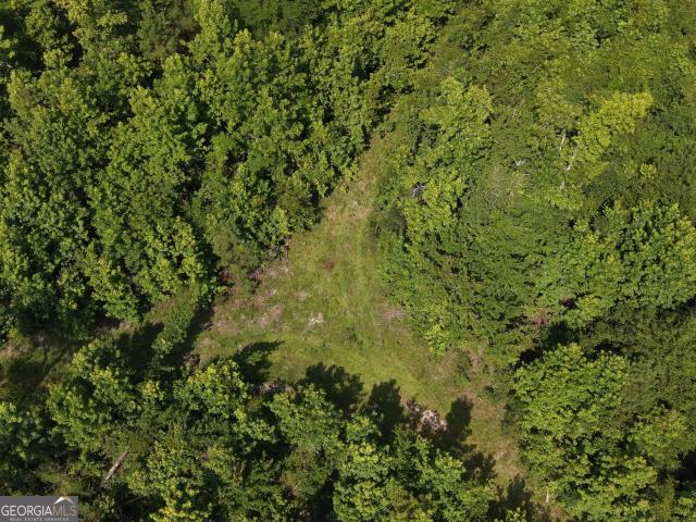 Land for sale in Midville, Georgia