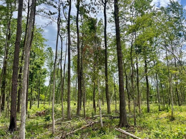 Land for sale in Tennessee
