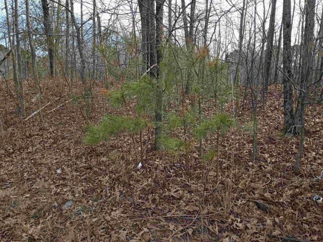Land for sale in Tennessee