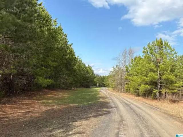 House for rent in Clanton, Alabama
