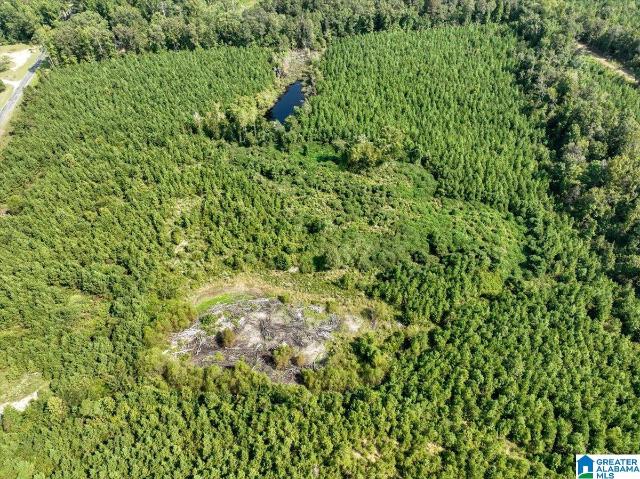 Land for sale in Double Springs, Winston County