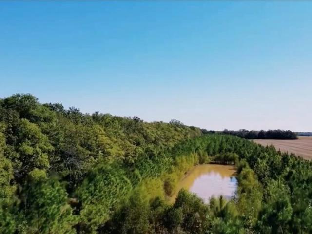 Land for sale in Marksville, Louisiana